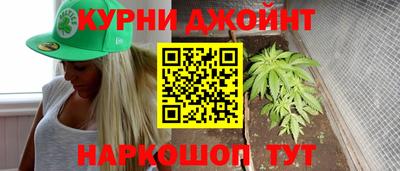 сатива Можга