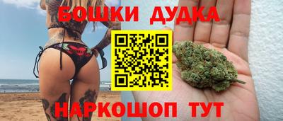 сатива Можга
