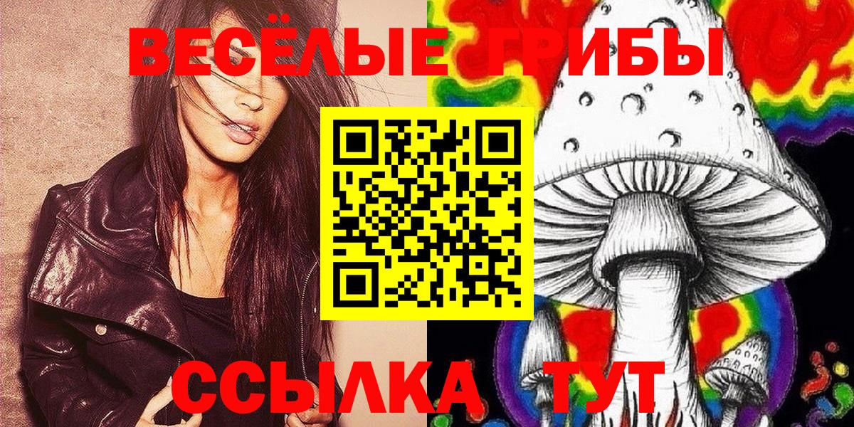 Псилоцибиновые грибы MAGIC MUSHROOMS  Вход с VPN  Видное 